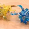 2-Channel Remote Control: Insect Battle Set (71120)