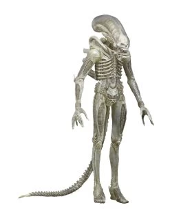 Alien Series 7: 1979 Concept Alien