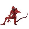Aliens Series 5: Genocide Alien (Red) 2 Aliens Series 5: Genocide Alien (Red) -Trendy Toy Store aliens series 5 genocide alien red 19021