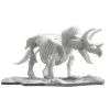 Dinosaur Limex Skeleton Model Kit: Triceratops -Trendy Toy Store dinosaur limex skeleton model kit triceratops 99239