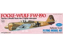 Focke-Wulf FW-190 1/30 Scale (502)