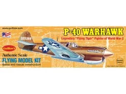 P-40 Warhawk 1/30 Scale (501)