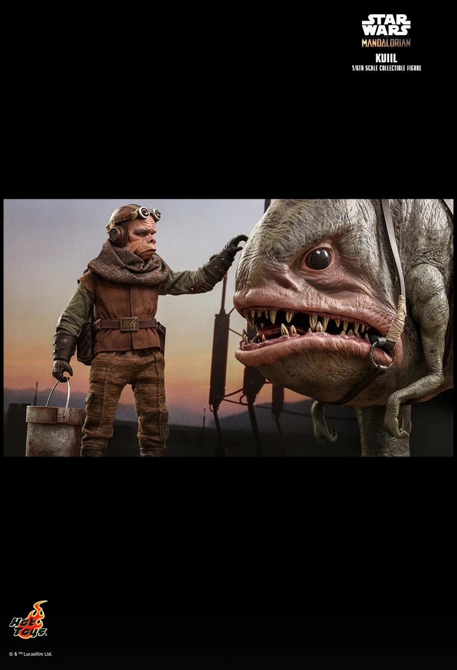 Kuiil (TMS048) 13 Kuiil (TMS048) - Image 11