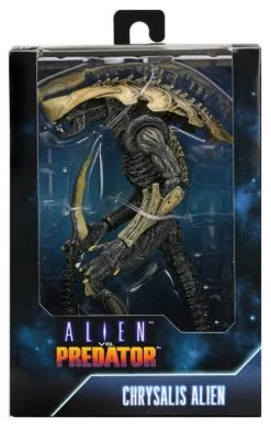 Chrysalis Alien -Trendy Toy Store product image 230
