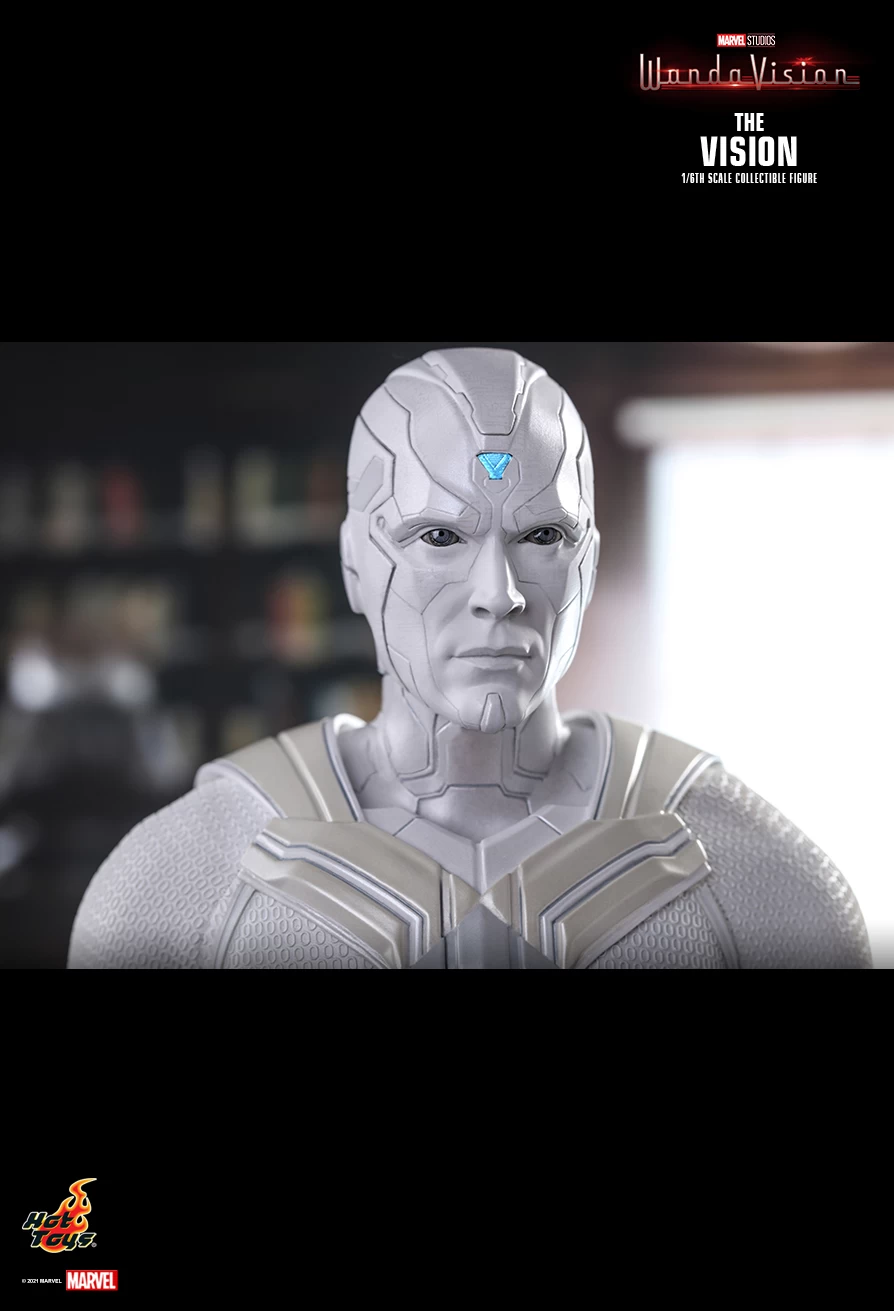 The Vision (TMS054) 14 The Vision (TMS054) - Image 12