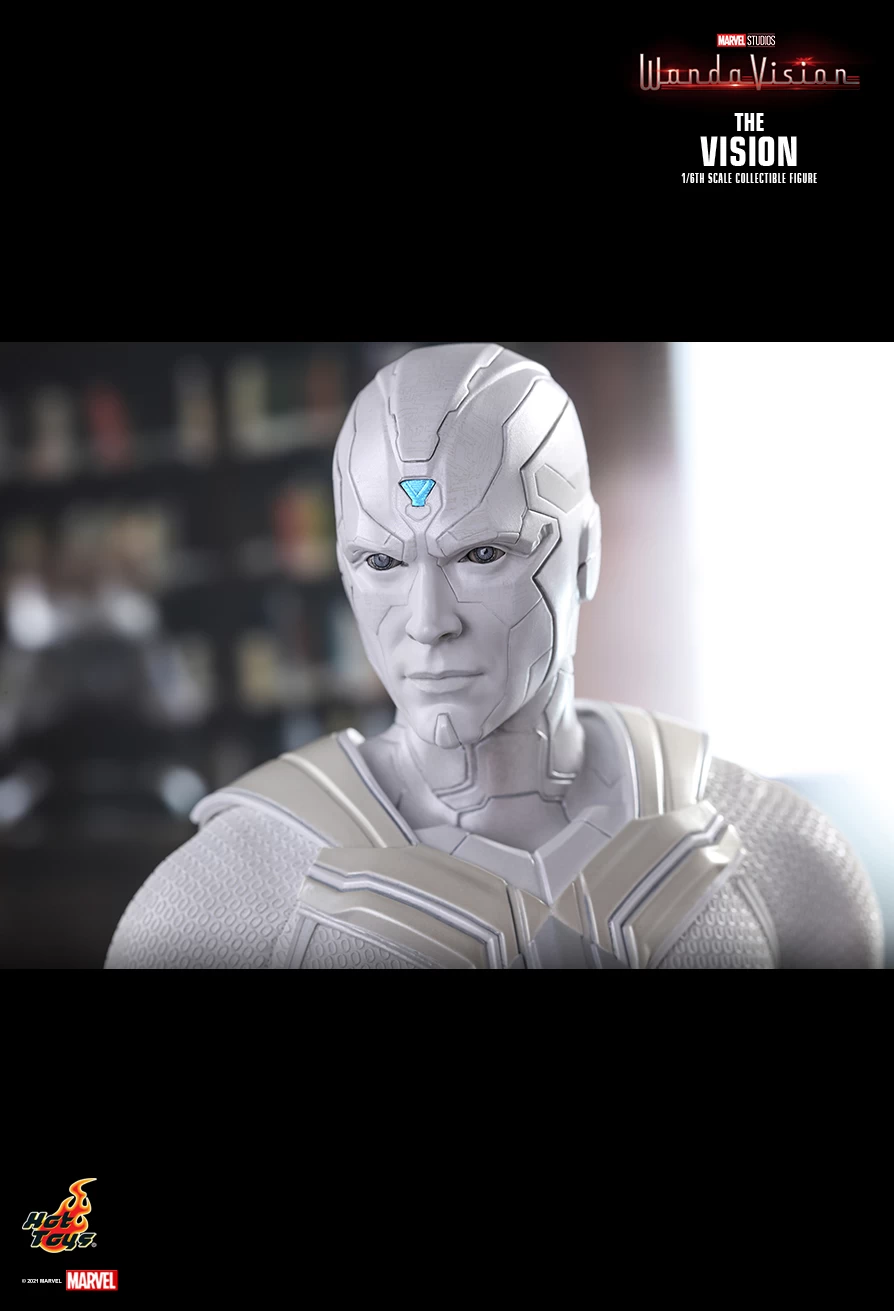 The Vision (TMS054) 15 The Vision (TMS054) - Image 13