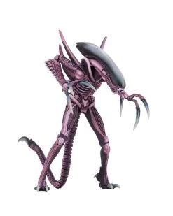 Razor Claws Alien (Arcade Appearance) -Trendy Toy Store product image 582