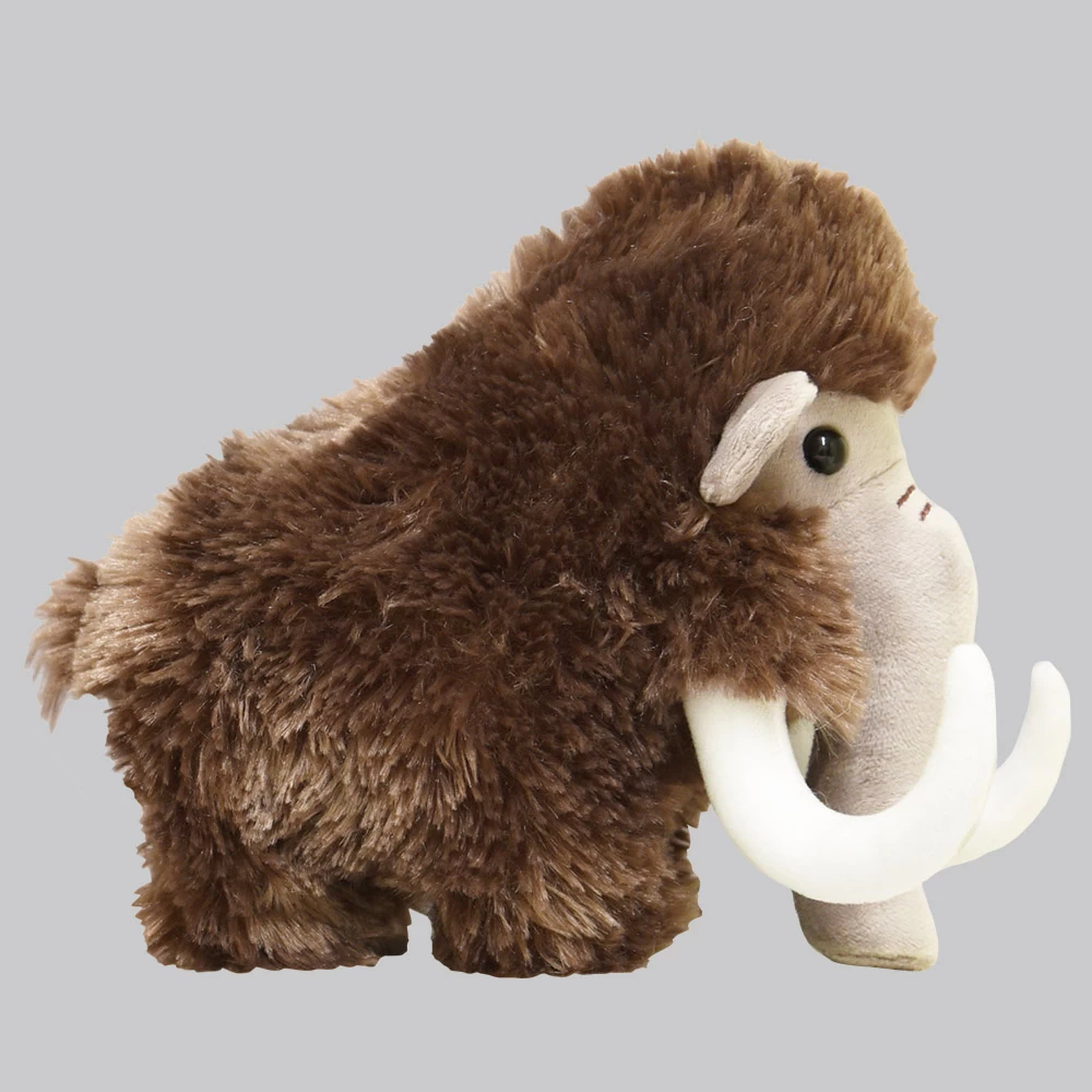 Maxi Alpha 3 (001466) 4 Maxi Alpha 3 (001466) - Image 2