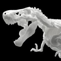 Dinosaur Limex Skeleton Model Kit: Tyrannosaurus -Trendy Toy Store product image 850