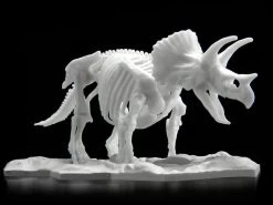 Dinosaur Limex Skeleton Model Kit: Triceratops -Trendy Toy Store product image 854