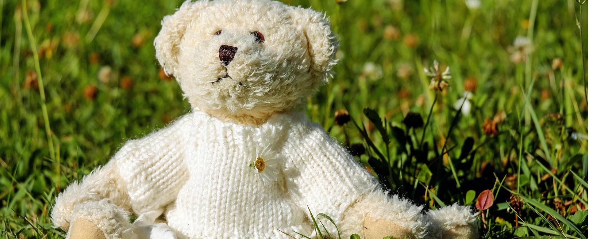 Trendy Toy Store -Trendy Toy Store teddy 1623436 1920